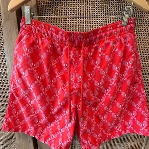 Vilebrequin Swim Trunk